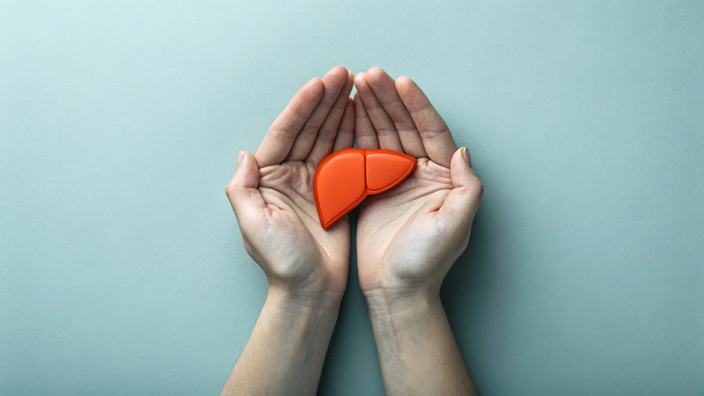 ALAT-Wert – Was Ihr Blut über Ihre Leber verrät