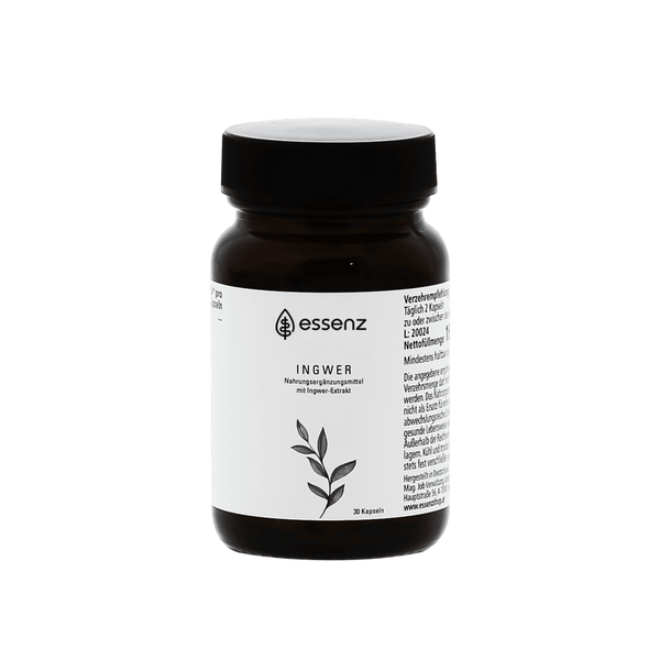 Ingwer Kapseln
