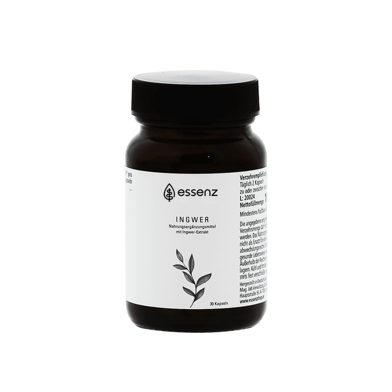 Ingwer Kapseln