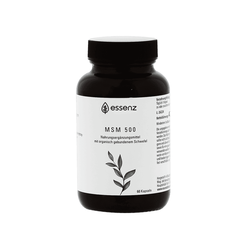 MSM 500 Kapseln