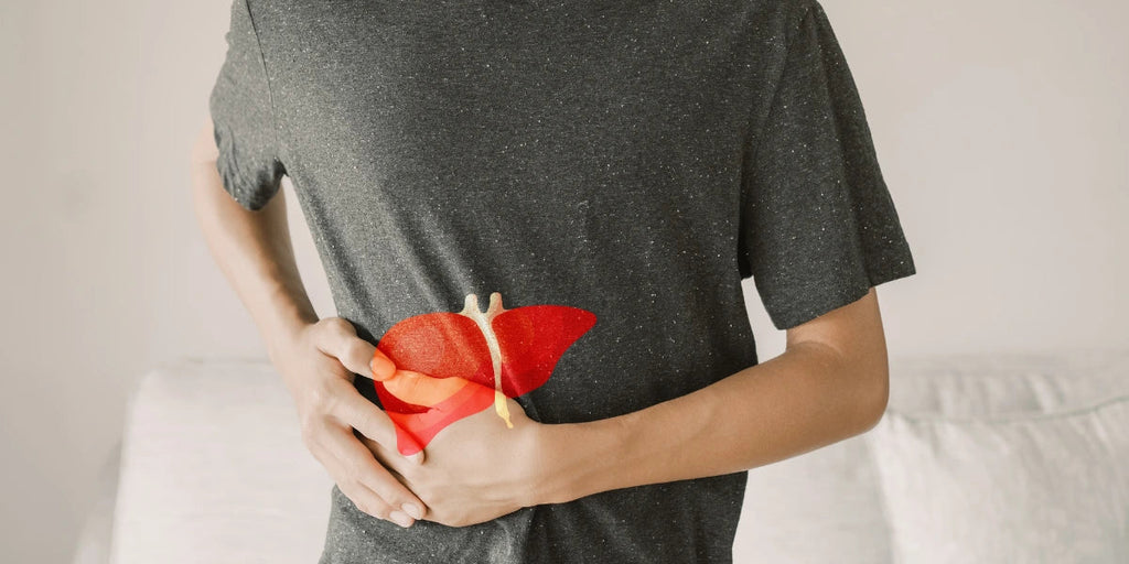 Lebergesundheit ab 50: Welche Rolle spielen Mikronährstoffe?