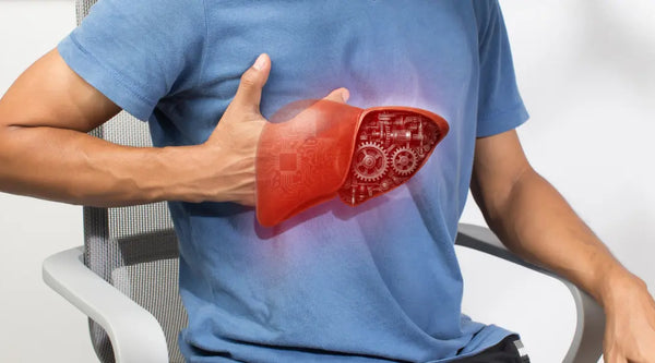 Die häufigsten Leberprobleme bei Männern über 50 – und wie Sie vorbeugen, für eine bessere Lebergesundheit