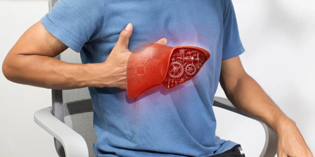 Die häufigsten Leberprobleme bei Männern über 50 – und wie Sie vorbeugen, für eine bessere Lebergesundheit