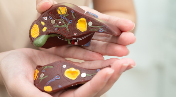 Natürliche Wege, die Fettleber zu regenerieren: Ursachen und Symptome verstehen für die Gesundheit der Leber