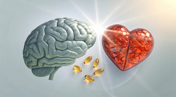 Wie wirkt Omega-3? Die unterschätzte Kraft für Körper und Geist