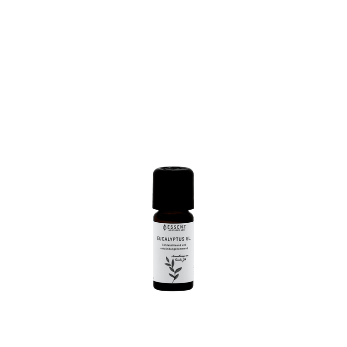 Eucalyptus globulus