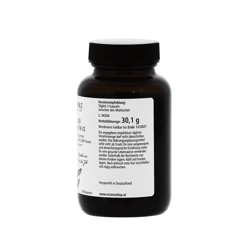 Ginkgo Gedächtnis Kapseln