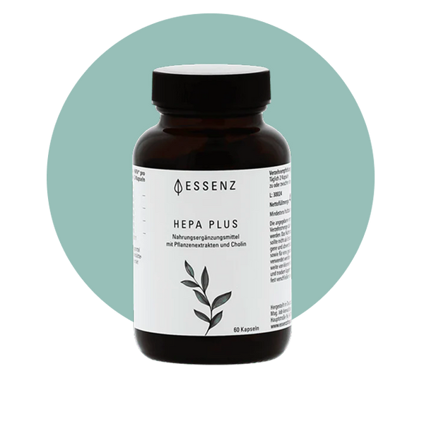 Dein Leben mit dem Walking Pad