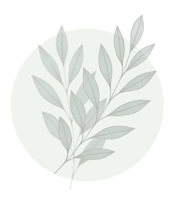 HEPA PLUS - Natürliche Unterstützung für Leber & Verdauung: