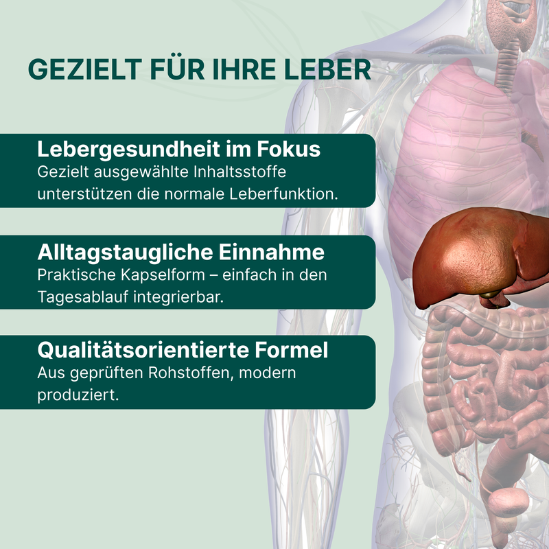 Leber Vital Bundle – Omega-3 + Hepa Kapseln