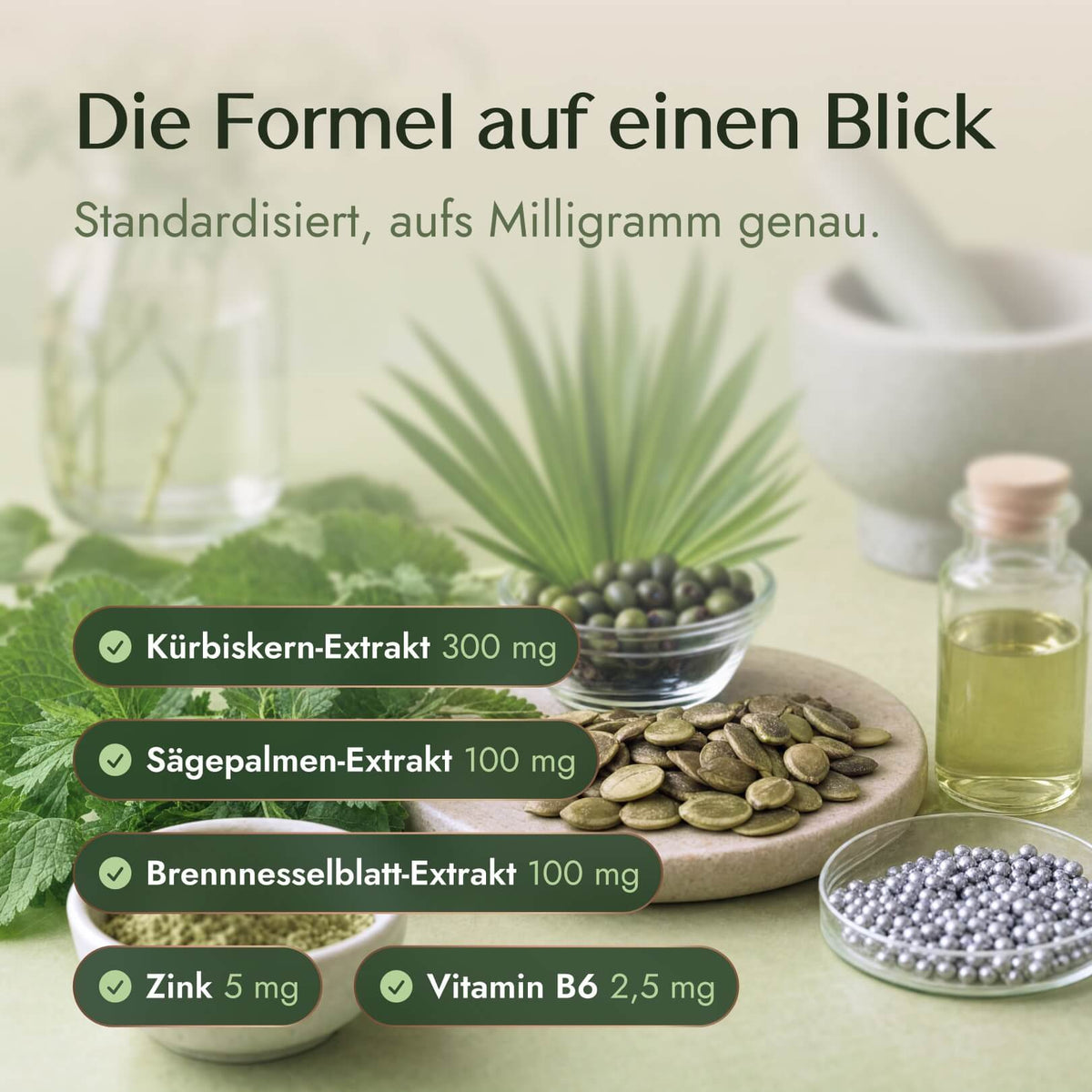 Prosta Vit Kapseln
