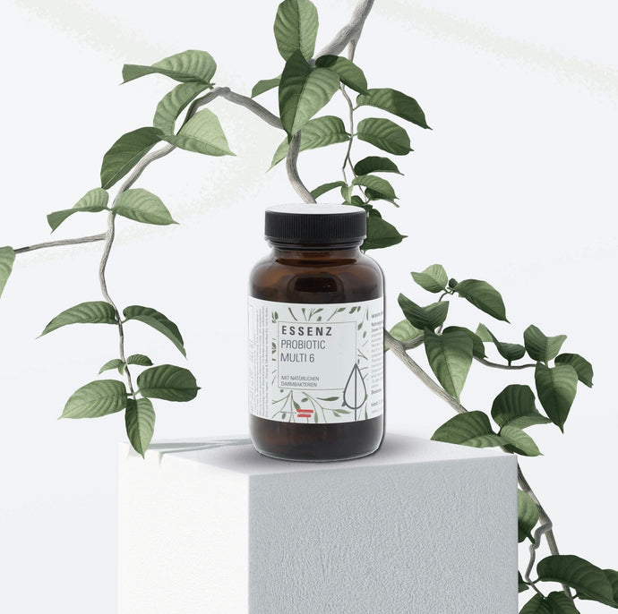 Probiotic Multi 6 Kapseln - Essenzshop